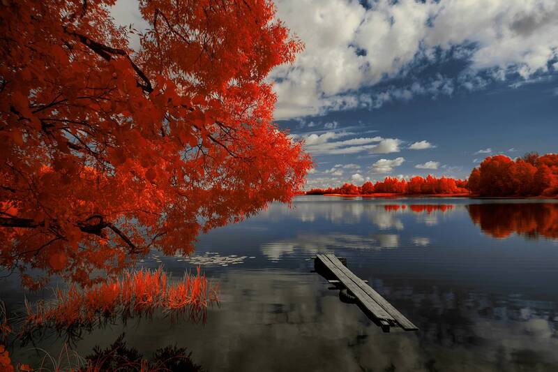 infrared, ик-фото, инфракрасное фото, инфракрасная фотография, пейзаж, лето Немного солнца в летних отражениях фото превью