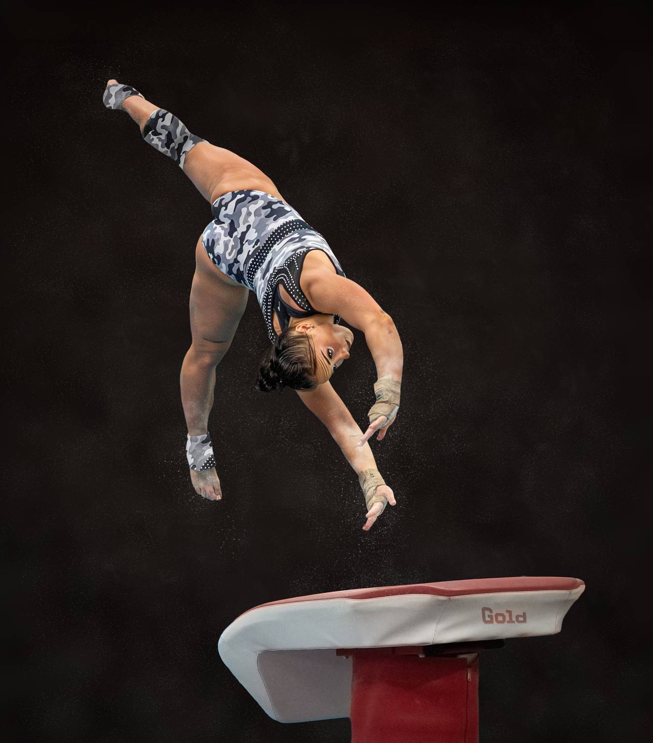 sport, sports_phptpgraphy, gymnastics, Leach Eddie