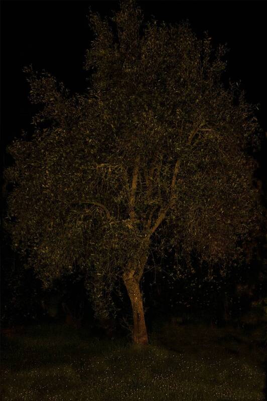Un soir de pluie. фото превью