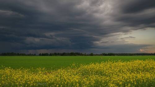 Затишье перед грозой...