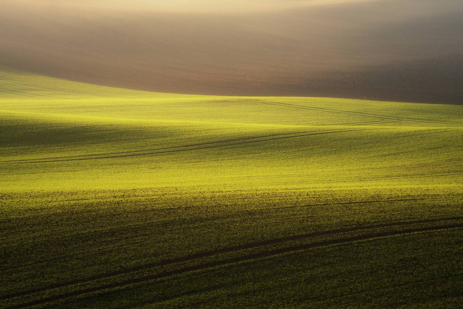 pole, jesień, zieleń, brąz, landscape, wieś, poland, Lukasz Zugaj