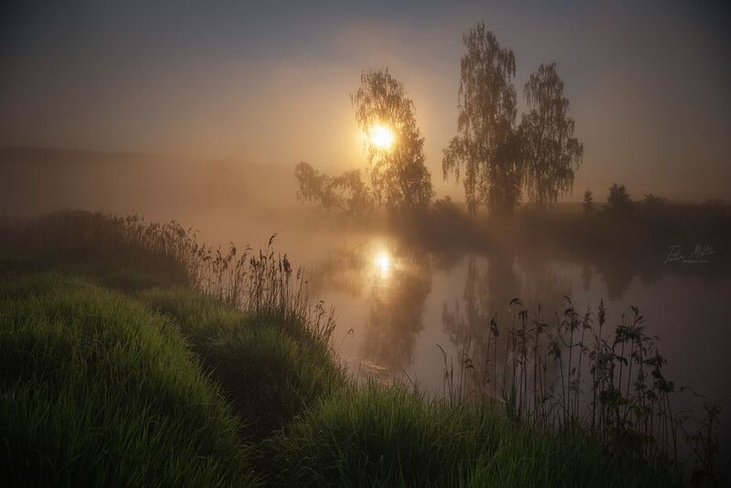 Рассветная дрёма фото превью