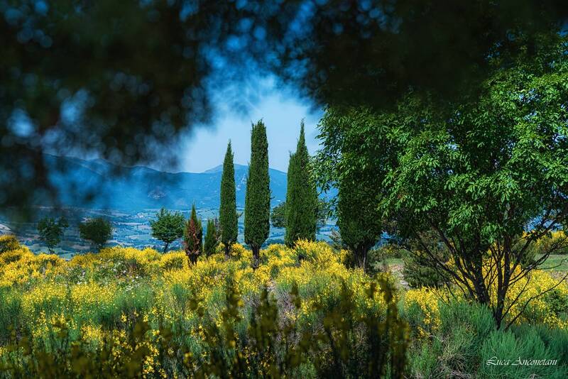 nature, landscape, italy, trees, rural, march Spring colors фото превью