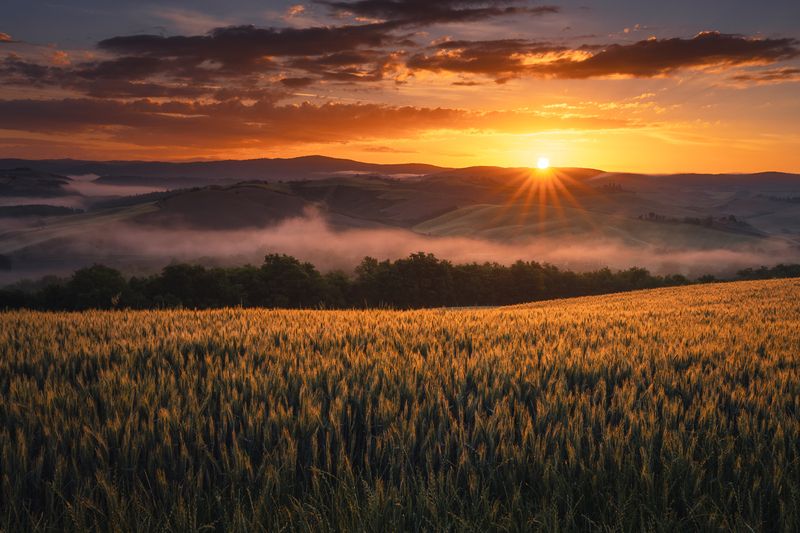 Mistic sunrise фото превью