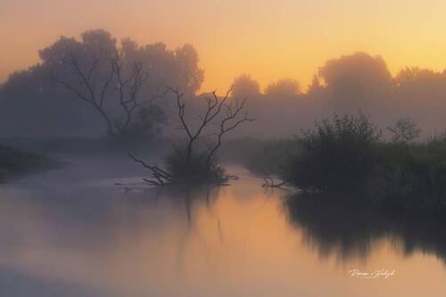 Wierzyca River