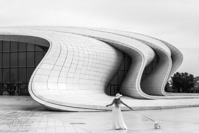 Where Dreams Meet the Future фото превью
