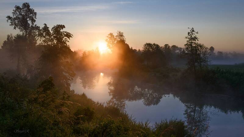 июнь, восход, солнце, река, туман, лес, деревья Туманный восход июня... фото превью