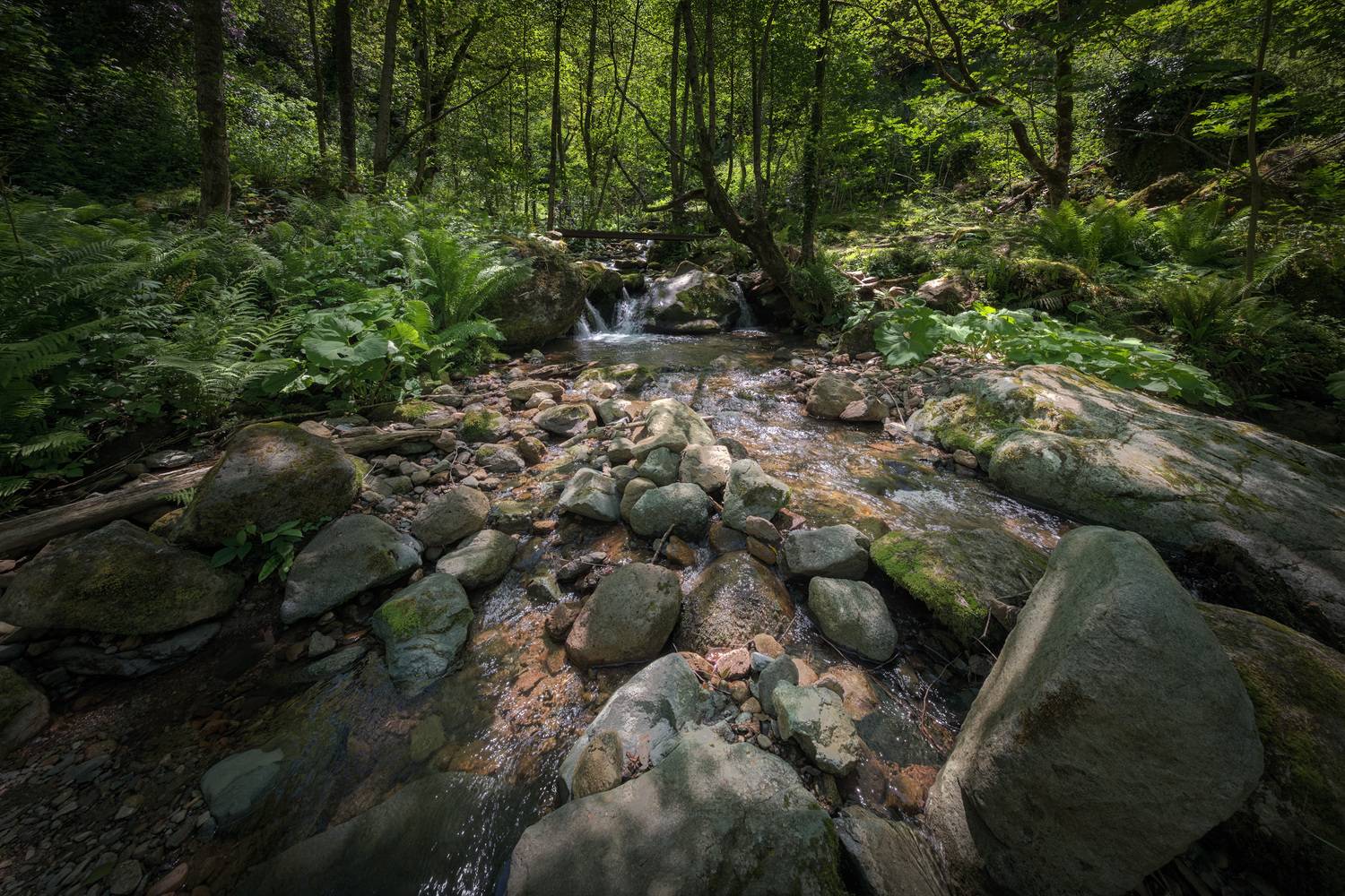 mtirala, stream, mountains, forest, jungles, nature, landscape, scenery, travel, outdoors, georgia, sakartvelo, adjara, chizh, Чиж Андрей