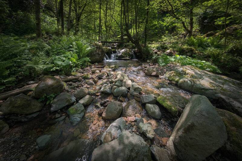 mtirala, stream, mountains, forest, jungles, nature, landscape, scenery, travel, outdoors, georgia, sakartvelo, adjara, chizh Stream In The Mtirala Jungle фото превью