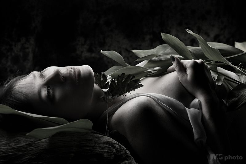 Lilies of the Noir Valley #01 фото превью