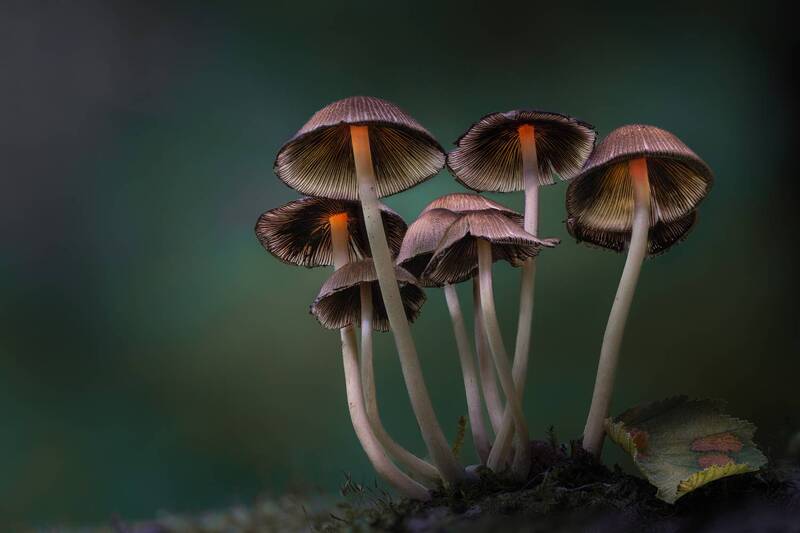 Associates фото превью