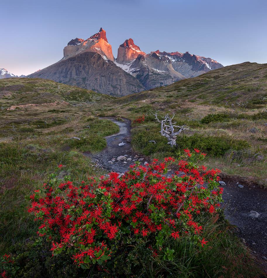 patagonia, патагония, chile, чили, torres del paine, cuernos, Alex Yurko