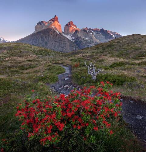 Torres Del Paine. Patagonia. Chile