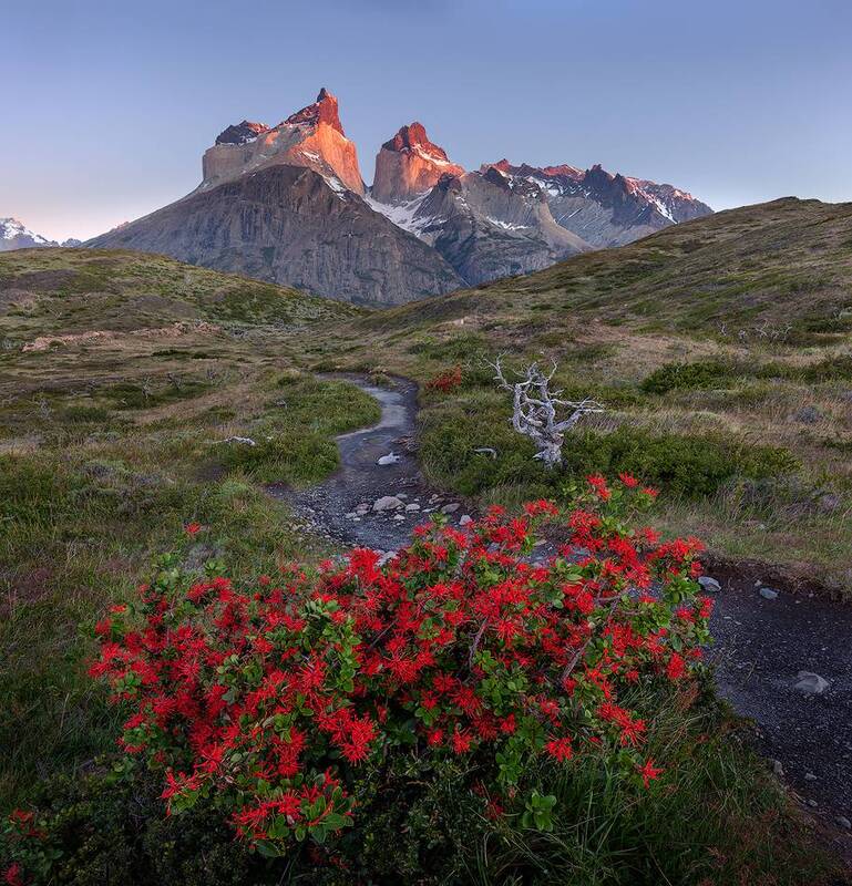 Torres Del Paine. Patagonia. Chile