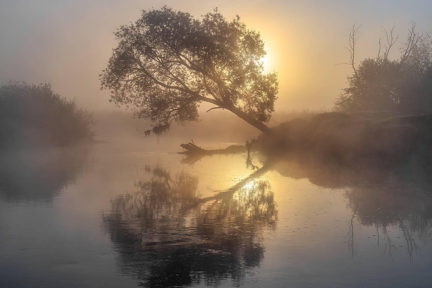 утро, рассвет, вырица, оредеж, природа, рыбалка, ленобласть, пейзаж, лето, Alexander Pashenichev