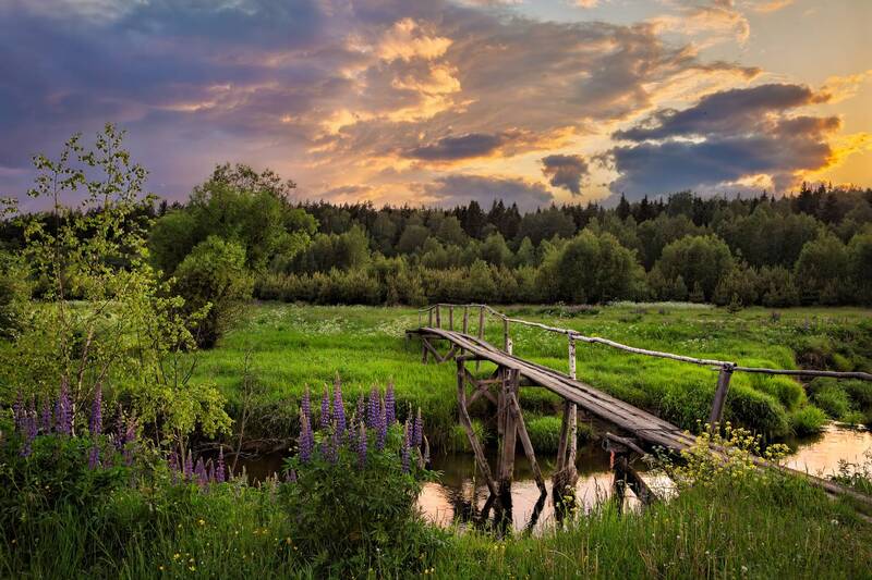 * фото превью