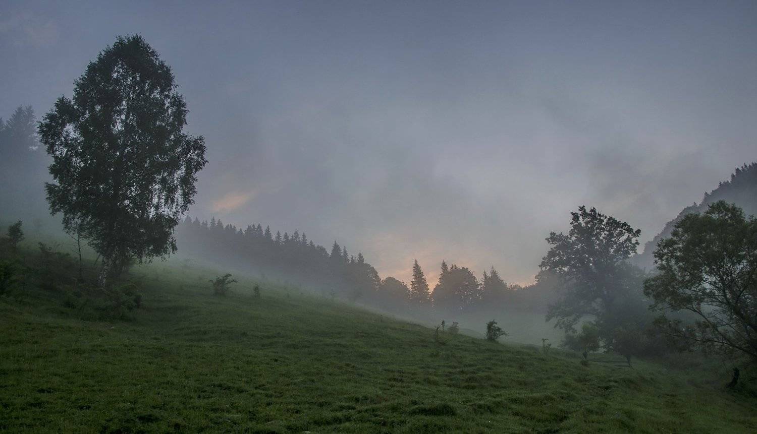 карпаты, рассвет, роса, туман, утро, украина, дземброня, Валерий Наумов