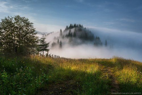 Украина. Карпаты. Дземброня. Туманное утро