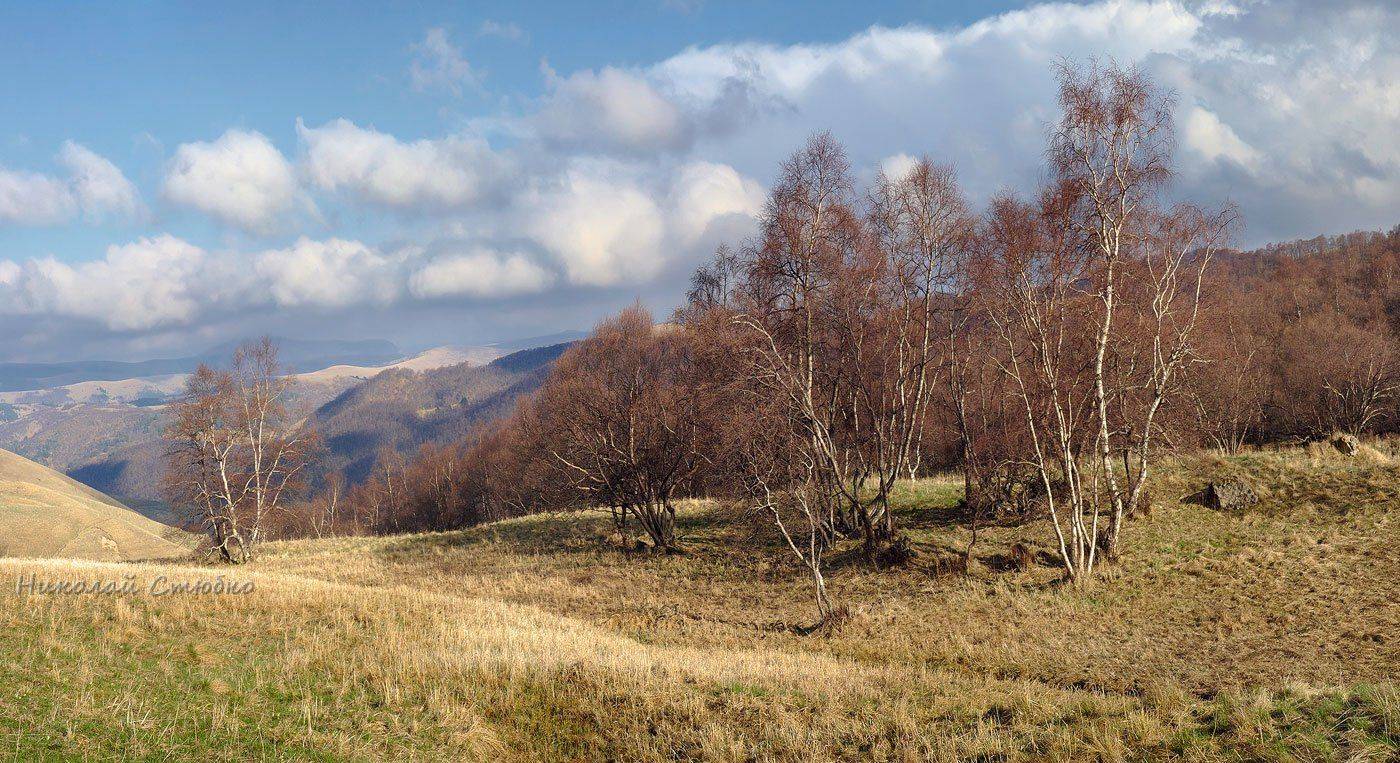 , Николай Стюбко