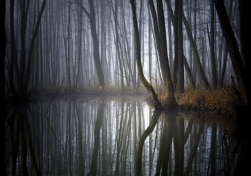 ... фото превью