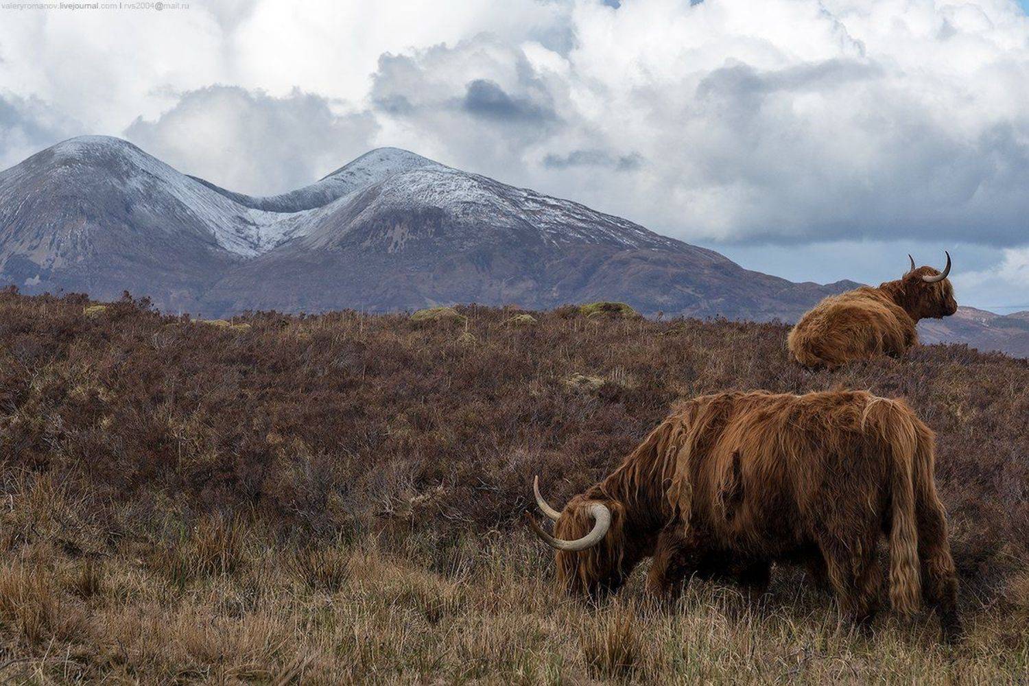 небо, восход, солнца, закат, море, горы, вода, пляж, путешествия, солнце, облака, океан, скалы,  морской, пейзаж, нагорья, Скотланд, гора, длительной, экспозиции, скай, хайланд, Киранг, Остров, Скай, skye, Шотландия, романов, Киранг, Quirang, Валерий Романов
