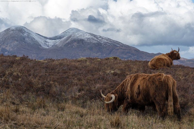 небо, восход, солнца, закат, море, горы, вода, пляж, путешествия, солнце, облака, океан, скалы,  морской, пейзаж, нагорья, Скотланд, гора, длительной, экспозиции, скай, хайланд, Киранг, Остров, Скай, skye, Шотландия, романов, Киранг, Quirang Хайлендская порода фото превью
