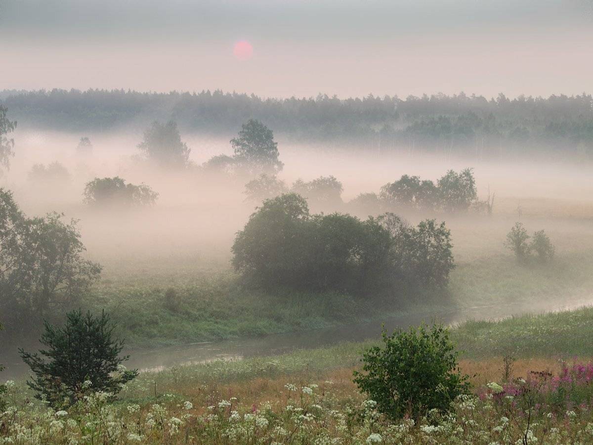 , Марина Брыдня
