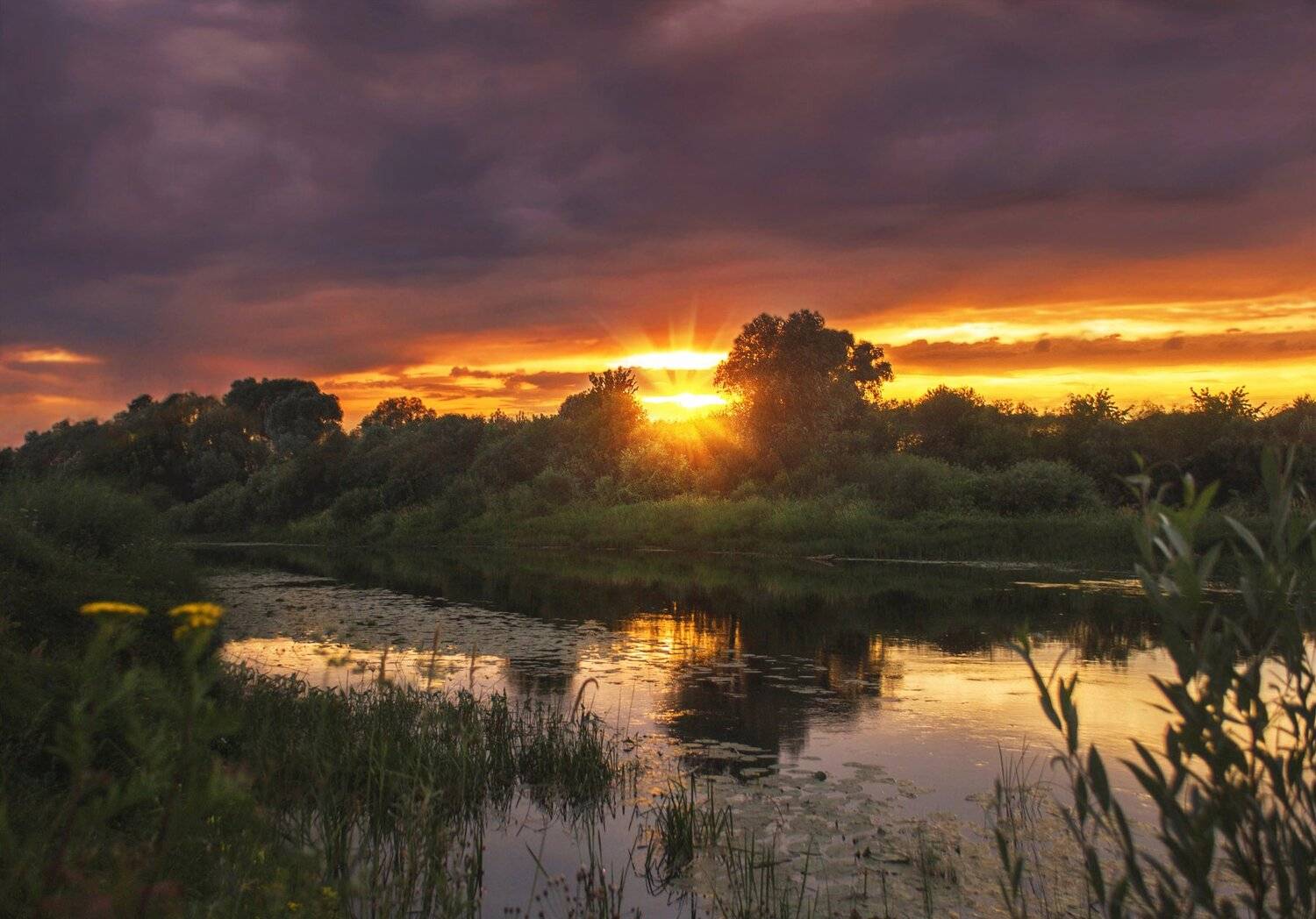 фото, природа, закат, гроза, лес, река, Екатерина