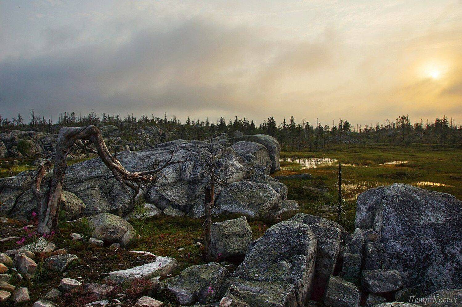 Воттоваара, Карелия, Петр Косых