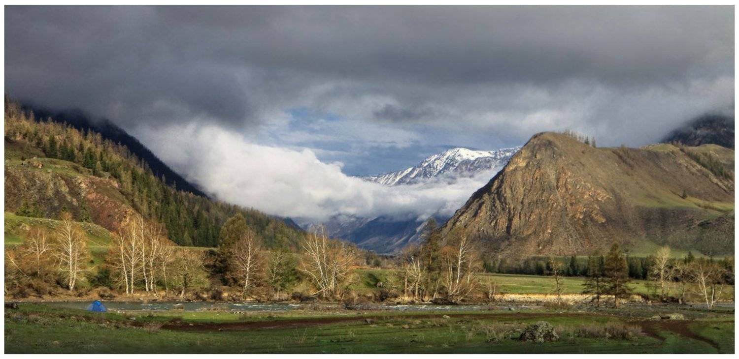 , Галина Хвостенко