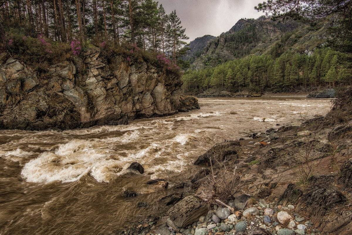 алтай, чемал, GunterV