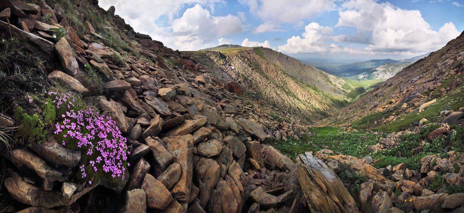 , Сергей Макурин