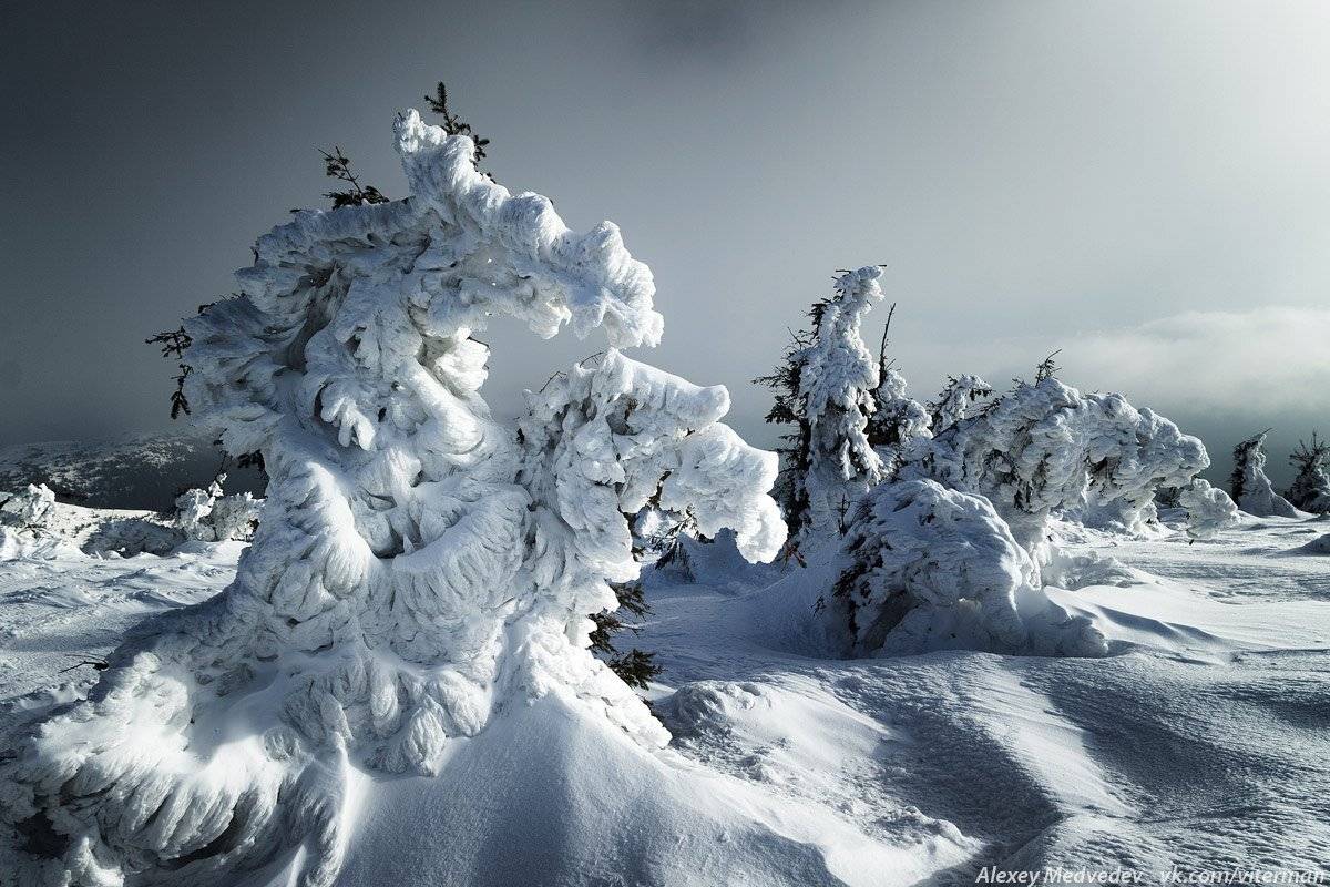 карпаты, черногора, поп-иван, лед, горы, снег, зима,, Алексей Медведев