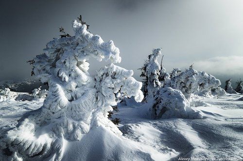 Черногорские големы