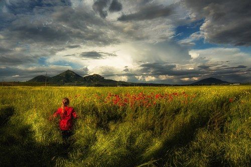 Я хочу показать тебе море из маков...