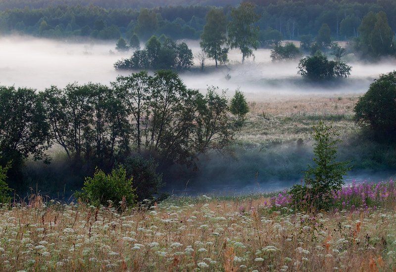 Метаморфозы утреннего тумана фото превью