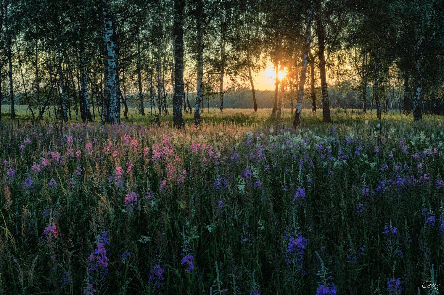 , Александр Кудинов