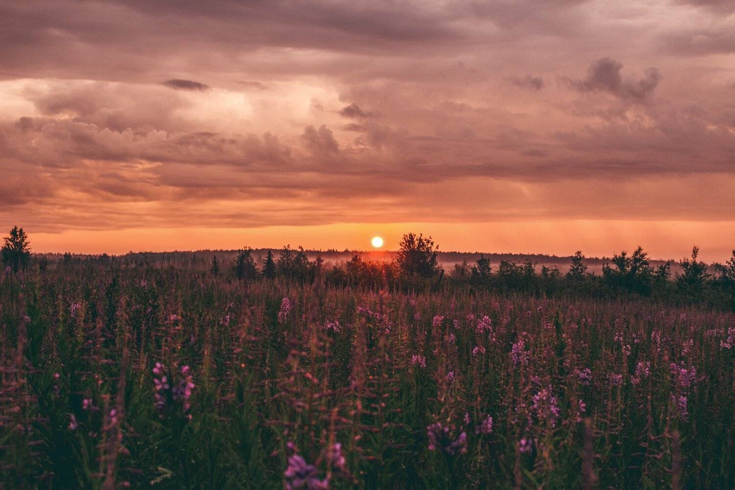 ямал, полярный урал, , июнь, россия, siberia ,пляж , обь ,отдых , утро ,туман , белые ночи, Настя Братка