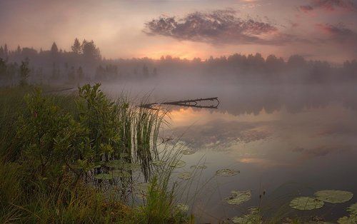 Рассветное действо....