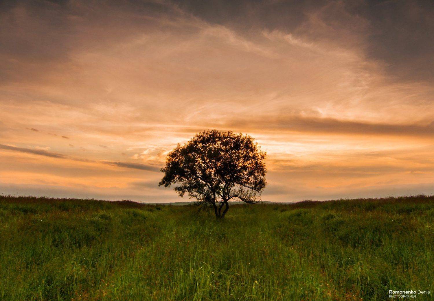 , Романенко Денис