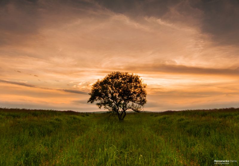 Пленник полей фото превью