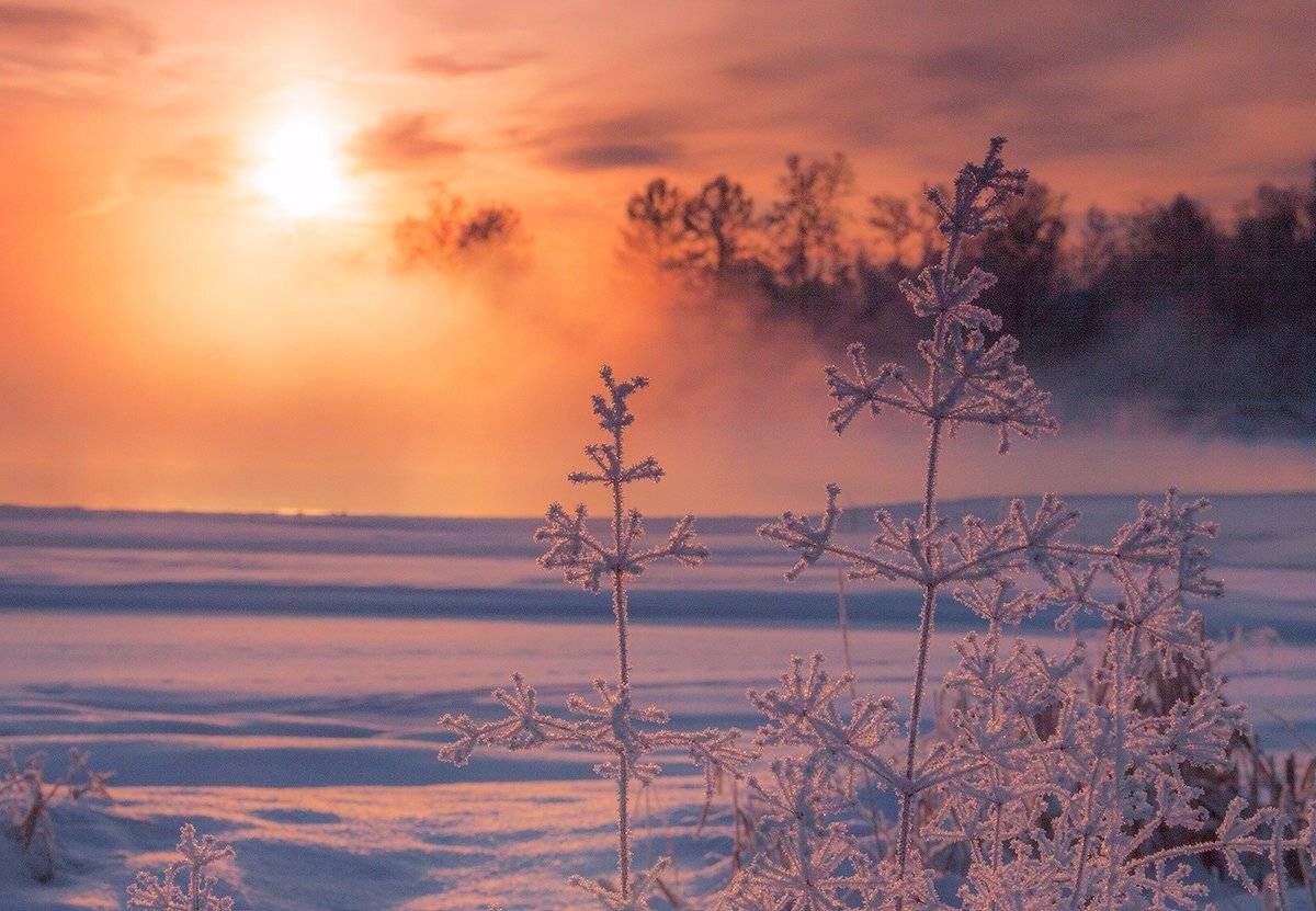 , Николай Морский