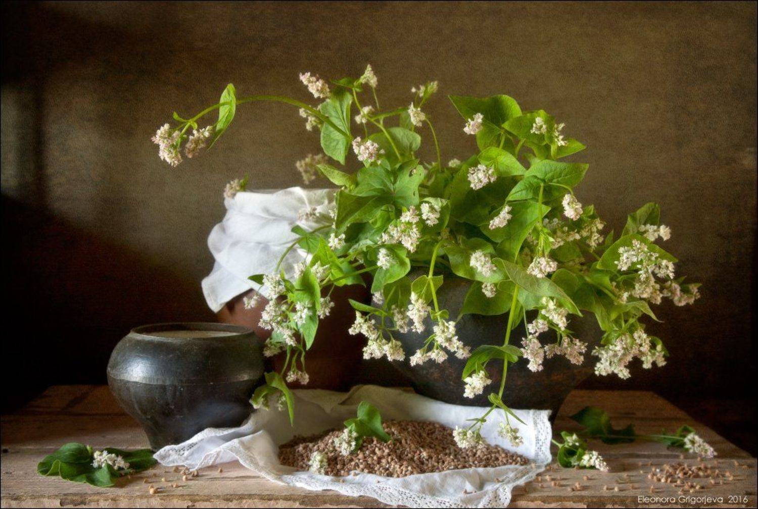 гречиха, гречневая каша, натюрморт, Eleonora Grigorjeva