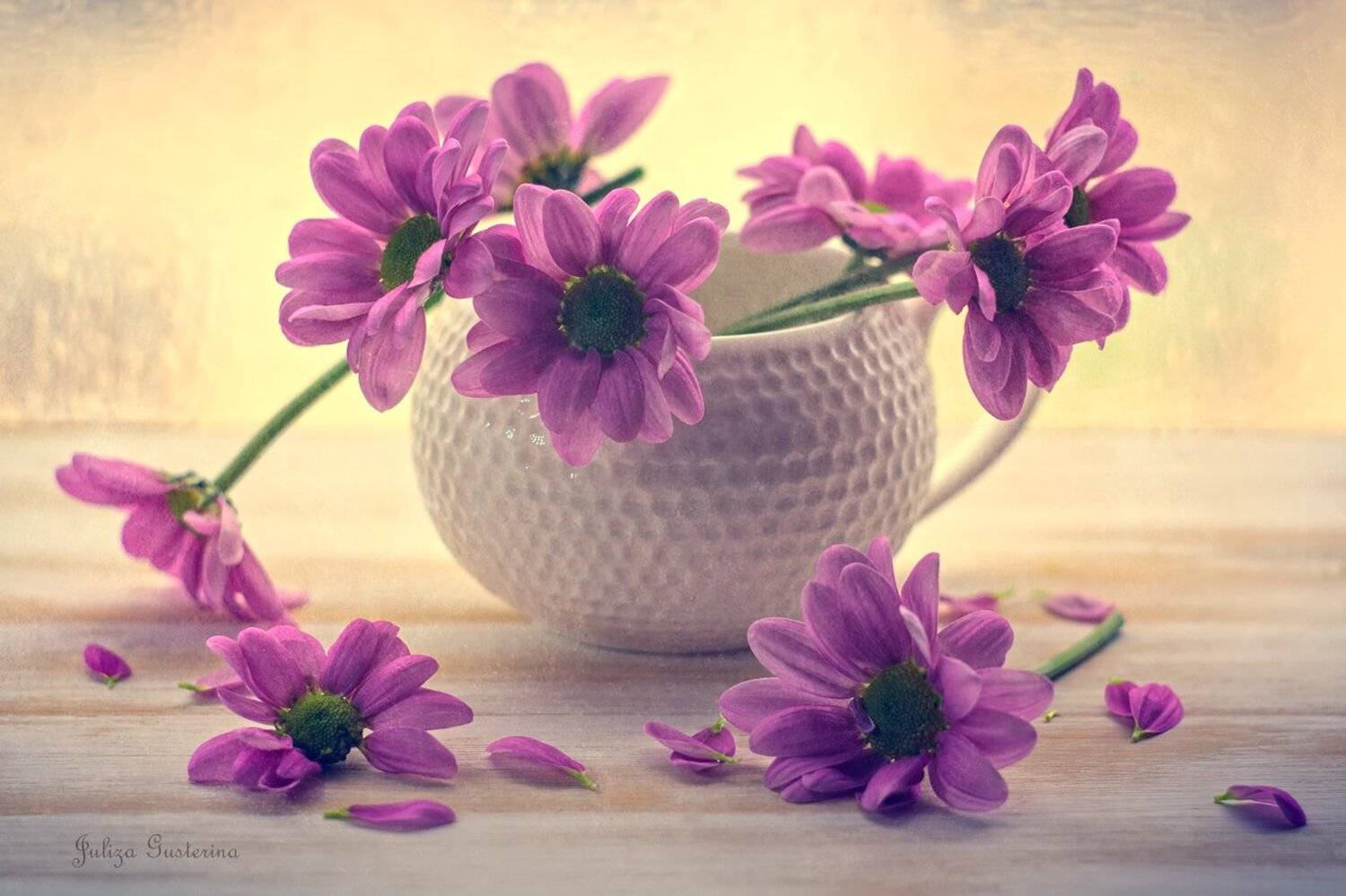 , Юлия Густерина