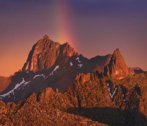 Радуга и Птица