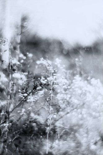 lightness