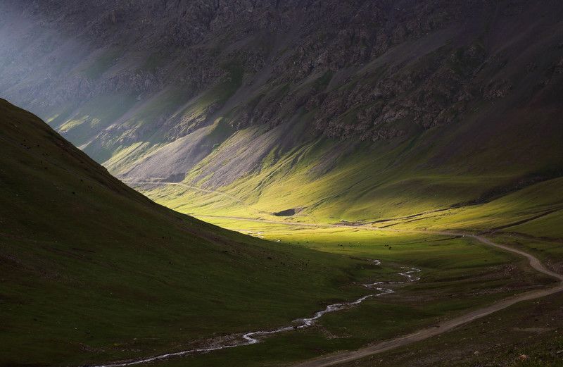 Chon - Ashuu фото превью