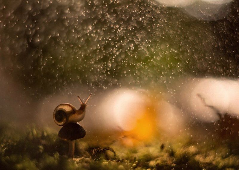 На закате дня фото превью