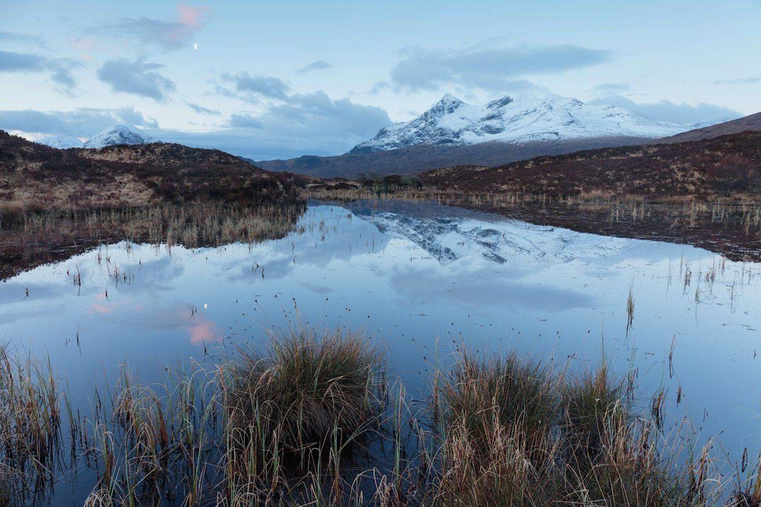 , Питенин Дмитрий