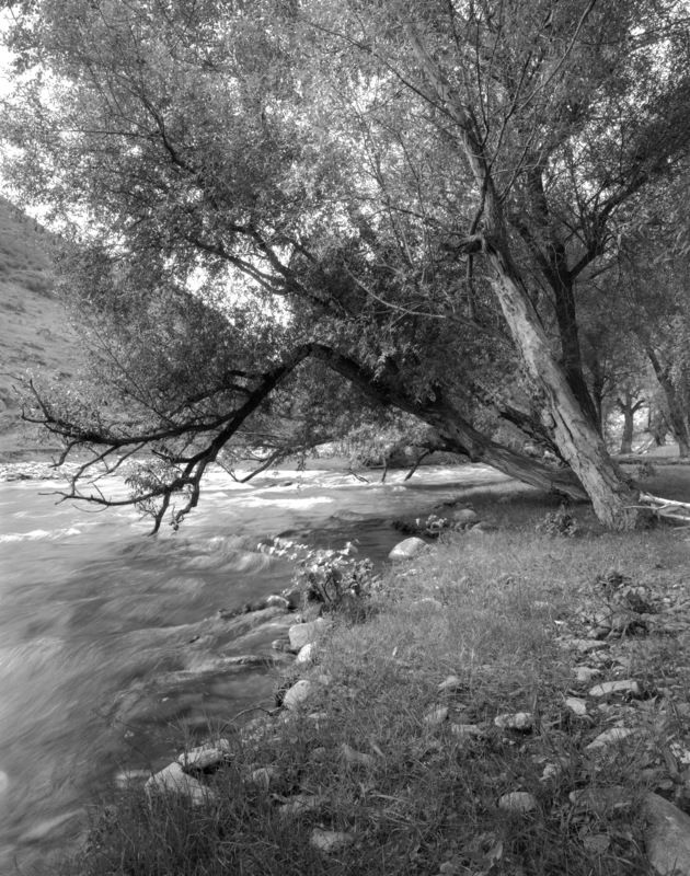 Купчегень фото превью